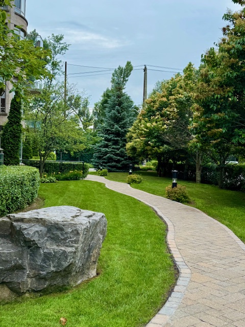 Landscaped garden path between lawns and mature trees