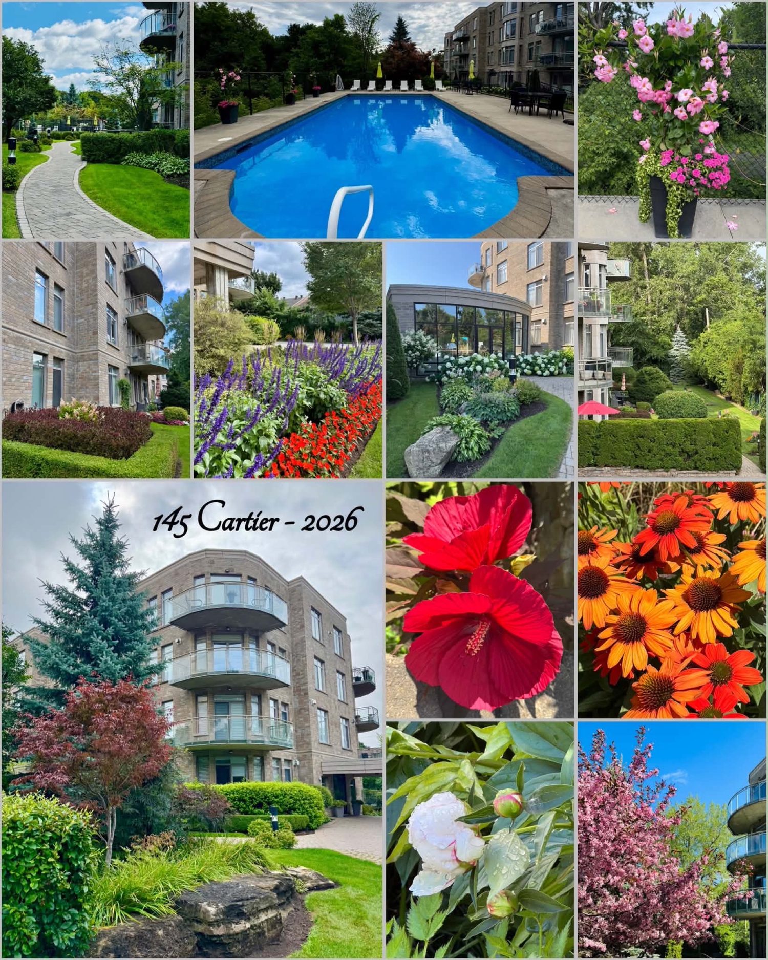 Photo collage of the gardens of Le Cartier du Village — the pool, flower beds, paths and buildings at 145 Cartier, 2026