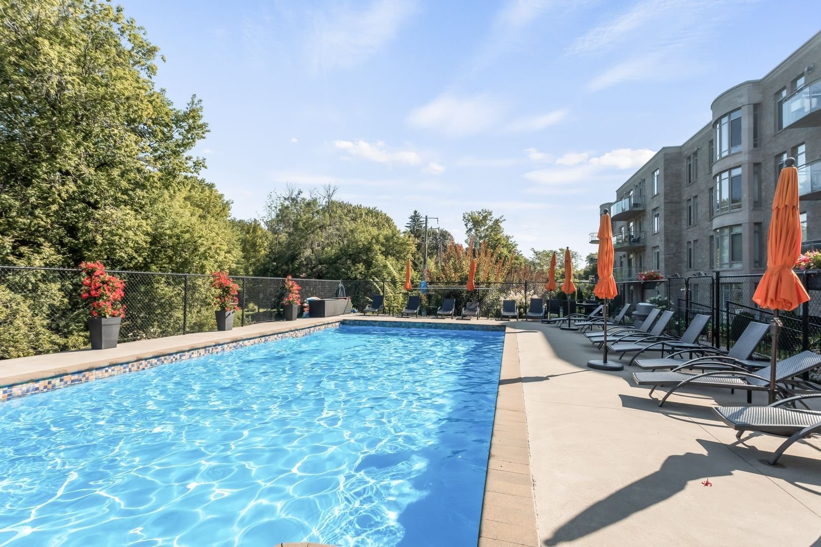 Saltwater pool with lounge chairs and parasols